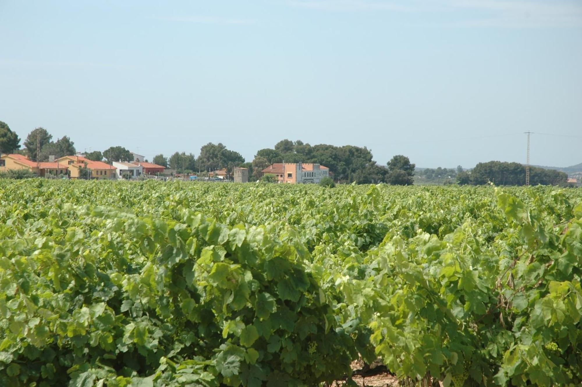 Hotel Restaurant El Bosc Banyeres del Penedes Εξωτερικό φωτογραφία